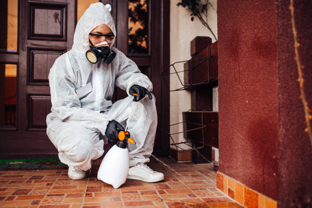Reliable Bed Bug Control contractor in Bailey's Crossroads, VA by Nex Pest Control