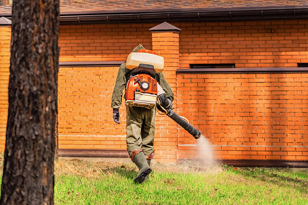 Trusted Termite Control service in Bailey's Crossroads, VA - Nex Pest Control